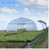 Buy cheap Single Span Polytunnel Greenhouse Kits Farming Small Or Large Size Optional from wholesalers
