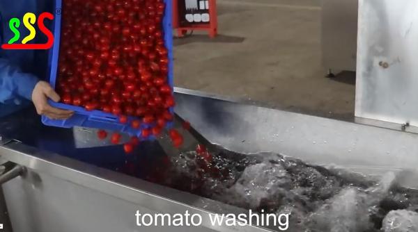 Buy cheap Fresh Tomato Medium Fruit Production Line from wholesalers