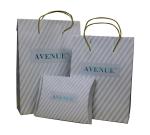 Classic Anvenue Paper Carrier Bag PVC Clip Closure 200 gsm Twist paper Handle