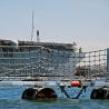 Buy cheap Shipyards Floating Barriers Marine Navy Harbor Offshore Barriers from wholesalers