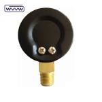 pressure gauge for swimming pool filter 2" Dial, 0-60 Psi, Bottom Mount 1/4"
