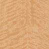Buy cheap Crown Cut Birch Wood Veneer Golden With 0.5mm Thickness For Wall Panels from wholesalers