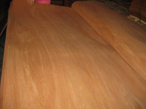 Buy cheap Rotary Cut Red Canarium Wood Veneer Sheet, Face/Back Grade from wholesalers