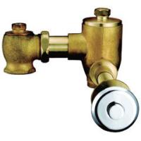 Buy cheap Home CE Brass Toilet Flush Valves , Self Closing Conceal Installation Flushers product