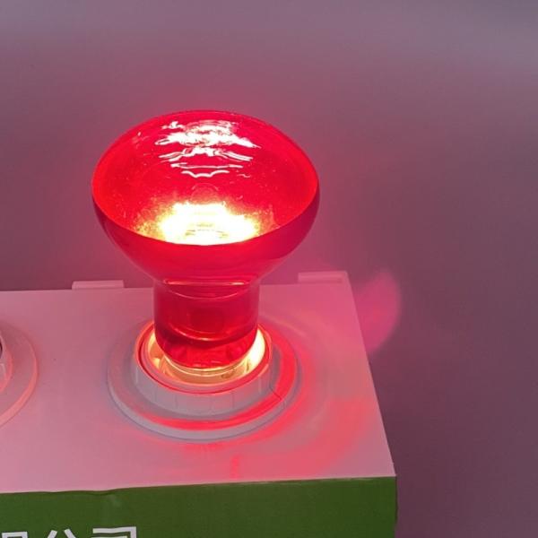 Buy cheap Night Infrared Reptile Heat Lamp E26 E27 100 Watt Basking Bulb from wholesalers
