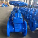 Industry Water Valve Resilient Seat Soft Flange Water Control Stainless Steel