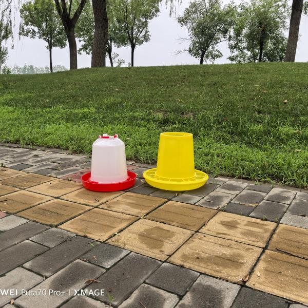 Buy cheap Convenient Anti Drip Bird Watering Dispensers For Small Aviaries Poultry Birds from wholesalers