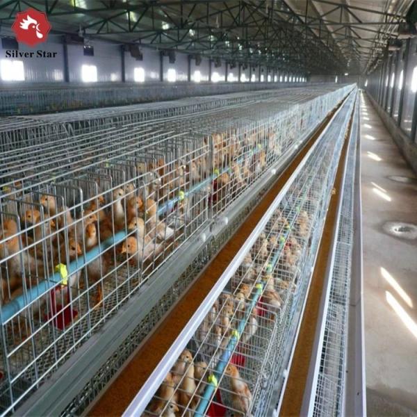 Buy cheap A Type Broiler Chicken Cage System Automatic Chick Breeding Cages 144 Birds from wholesalers