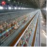 Buy cheap A Type Broiler Chicken Cage System Automatic Chick Breeding Cages 144 Birds from wholesalers