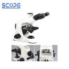 Buy cheap Rotatable 360° Trinocular Biological Microscope 48 - 75mm Interpupillary Distance from wholesalers