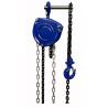 Buy cheap OEM Double Ratchet Pawls Elephant Hand Chain Hoist 1000kg HSZ-CB from wholesalers
