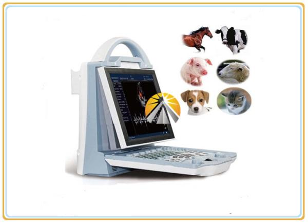 Buy cheap Animal Ultrasound Scan Machine Durable 6.5MHz R20 Micro Convex Probe from wholesalers