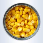 250G Canned Vegetables Freezing Sweet Corn Sweet Kernel Corn