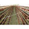 Buy cheap Sandwich Panel Cladding Poultry Steel Framing Systems Structural Steel Construction Shed from wholesalers