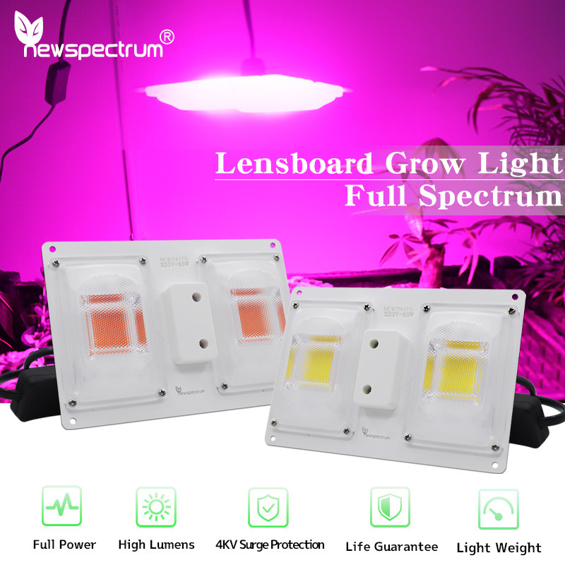 Aluminum Light Bar Module Package In Retail Box With 50000h Lifespan