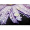 Buy cheap Rasied UV on CMYK Printed 250g special paper from wholesalers