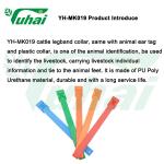 EVA Livestock Bands Colorful Legband Poly Urethane For Cow Horse Cattle Sheep