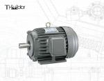 NEP TEFC NEMA High Voltage DC Motor IP55 For Blowers Conveyors