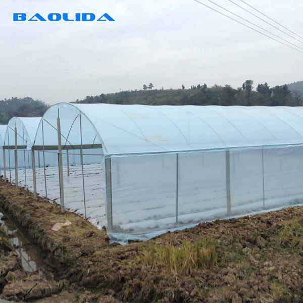Buy cheap 150 Micron PE Film Agricultural Greenhouse For Vegetable Fruit Growing from wholesalers