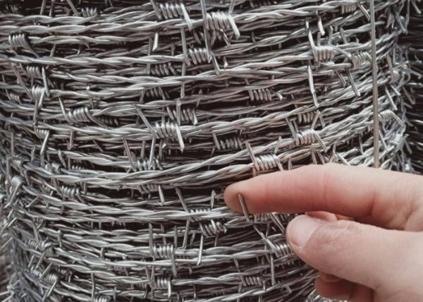 Buy cheap Length 20mm Coiled Barbed Wire Fencing from wholesalers
