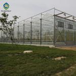 Agricultural 120km/H 10.8m Multi Span Glass Greenhouse