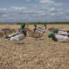 Buy cheap Silhouette Mallard Drake Hen Hunting Decoy 43x26CM 45x22CM 48x18CM Light Weight from wholesalers