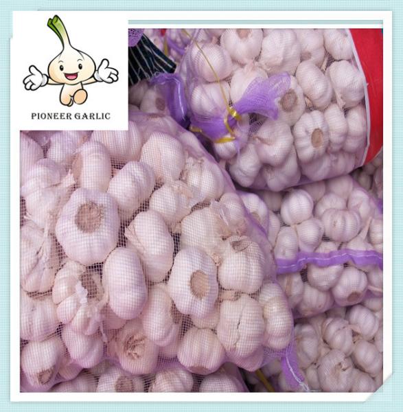 Buy cheap Normal white garlic,low price,10kg,20kg mesh bag in lowest price garlic from wholesalers