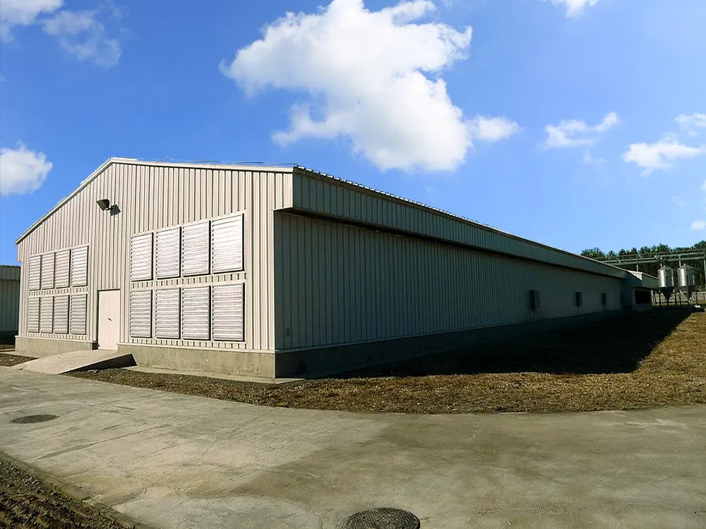 Modern Economical Steel Chicken Farm Customized Color Graphic Design