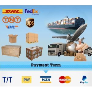 405X241X204mm Programmable Deep Fryer with Button Control Mod and Advanced