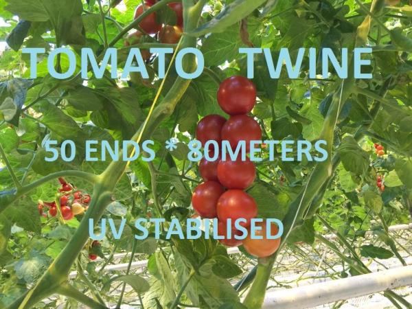 Buy cheap Greenhouse Tomato Tying Twine Colorful Plastic Garden Packing Raffia String from wholesalers