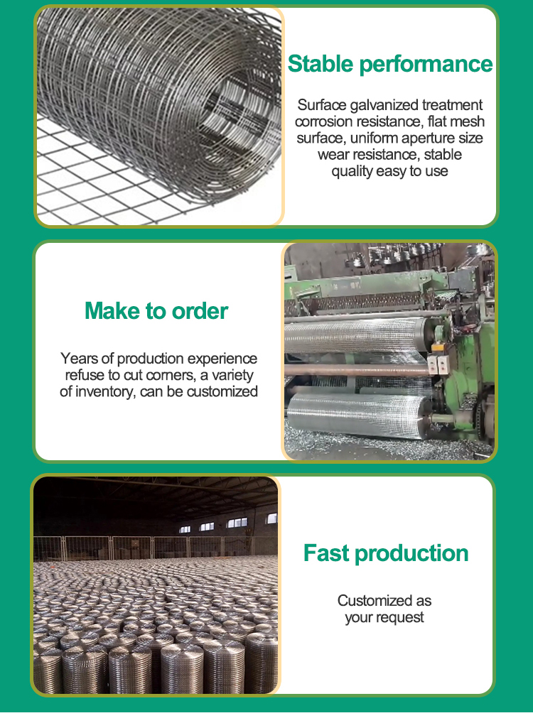 Galvanized Welded Wire Mesh Screen for Long-Lasting and Durable Protection