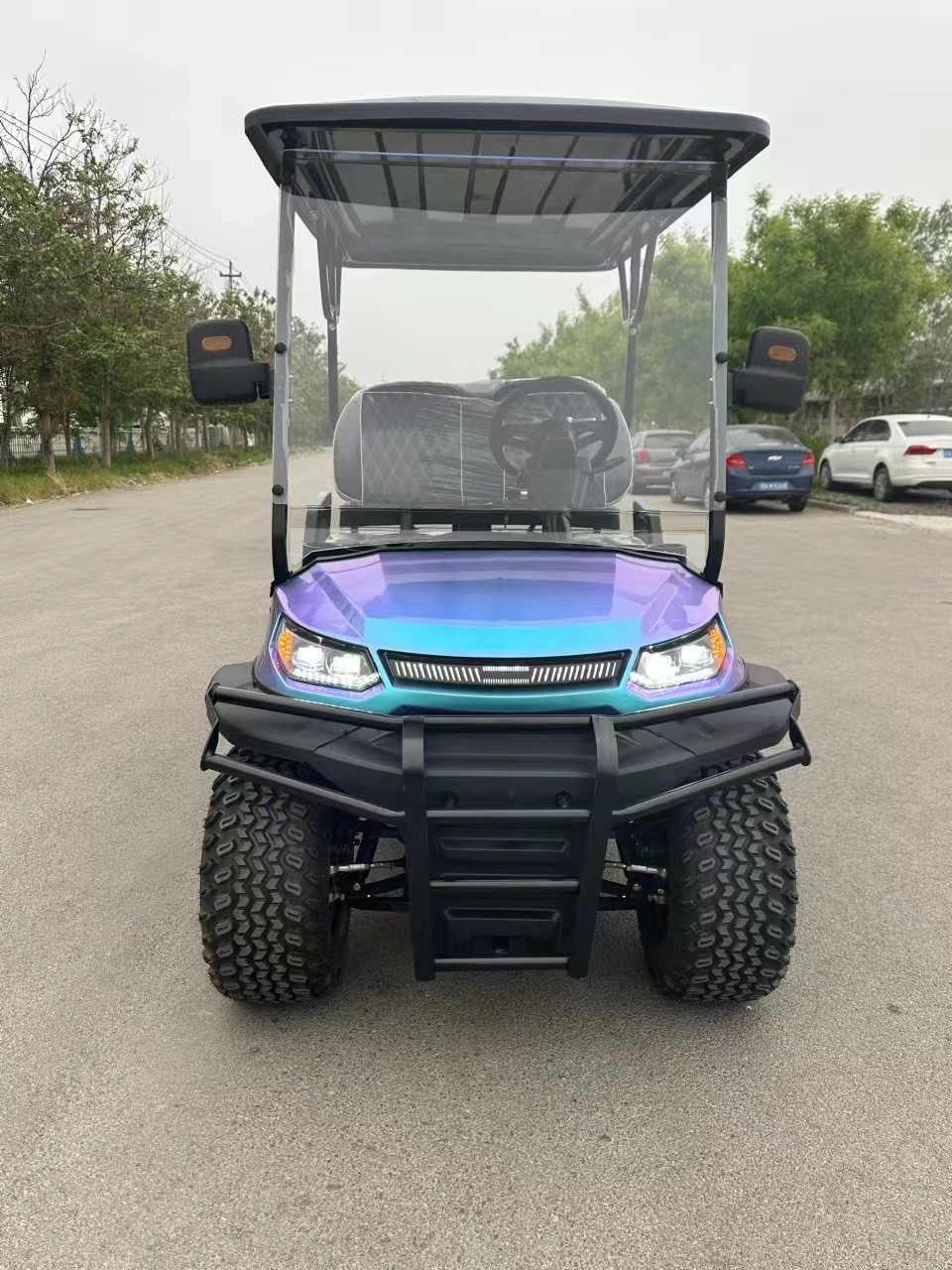 Dazzling Colors Fashionable Choice Four Wheel Drive Colorful Golf Cart