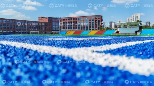 Buy cheap Blue EPDM Rubber Granules Weather Resistance Good Shock Absorption for Running Track from wholesalers