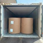 28-60g Uncoated Offset Printing Paper Dictionary Paper Religious Book Paper