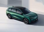 5 Seaters Adult Personal Turbo Automatic Leapmotor C10 Electric Vehicle Suv New