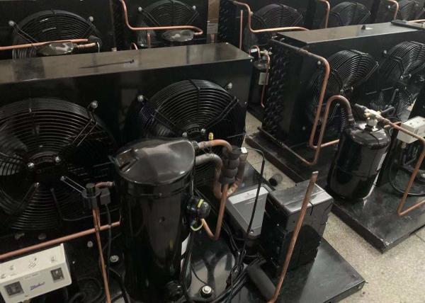 Buy cheap ZB45KQE 6HP ZB Copeland Scroll Condensing Unit For Cold Storage from wholesalers