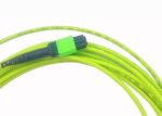 OM5 12F MPO Fiber Optic Patch Cord MTP Female MPO Trunk Cable