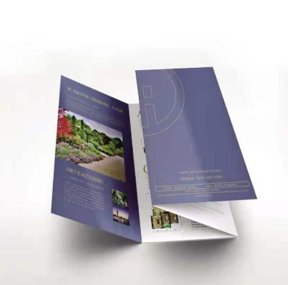 Buy cheap Advertising Business Trifold Brochure Full Color Fancy Tri Fold Flyer from wholesalers
