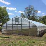 Single Span High Tunnel Greenhouse Single Layer Film For Tomatoes Agricultural