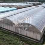 Stocked 24x40m High Tunnel Sawtooth Green House Ventilation Hothouse Tropical