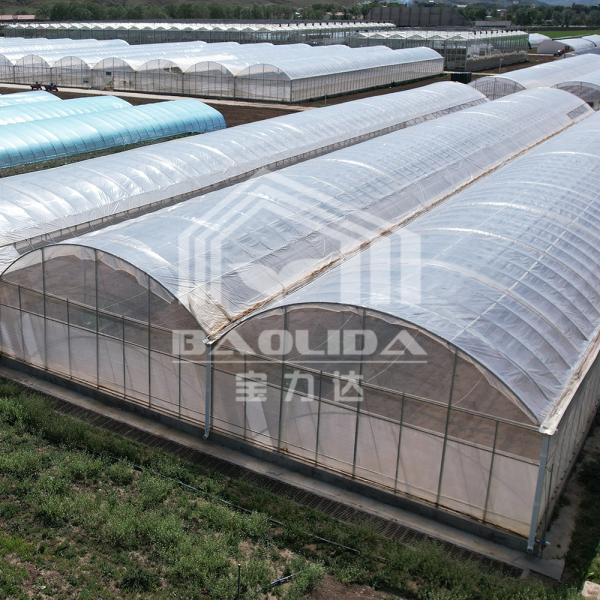 Buy cheap Stocked 24x40m High Tunnel Sawtooth Green House Ventilation Hothouse Tropical Greenhouse For Sale from wholesalers
