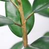 Buy cheap Artificial Potted Floor Plants Small Ficus Pandurata For Garden Decoration from wholesalers