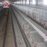 Buy cheap Pullet Battery Baby Layer Chicken Cage Galvanized 4 Tier A Type from wholesalers
