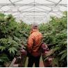 Buy cheap Aluminum Alloy Frame Black And White Film Auto Light Dep Hoop House Width 8m 9m from wholesalers