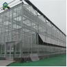 Buy cheap Vegetable Plant Commercial Glass Greenhouse Span Width 9.6 / 10.8 / 12m from wholesalers
