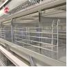 Buy cheap 2.2m Layer Battery Cage System For Capacity 120-200 Chickens Adela from wholesalers