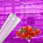 70W Strawberry LED Grow Light Tube 150cm Max Coverage Tomatoes