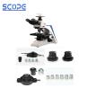 Buy cheap 10X-22mm Eyepiece Laboratory Biological Microscope Quintuple turret Phase Contrast from wholesalers