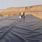 Made 1.0mm 1.5mm 2.0mm HDPE Geomembrane Liners for Long Service Life in Landfill