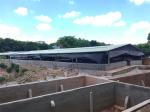 Light Steel Frame Structure Buildings for Livestock House Building